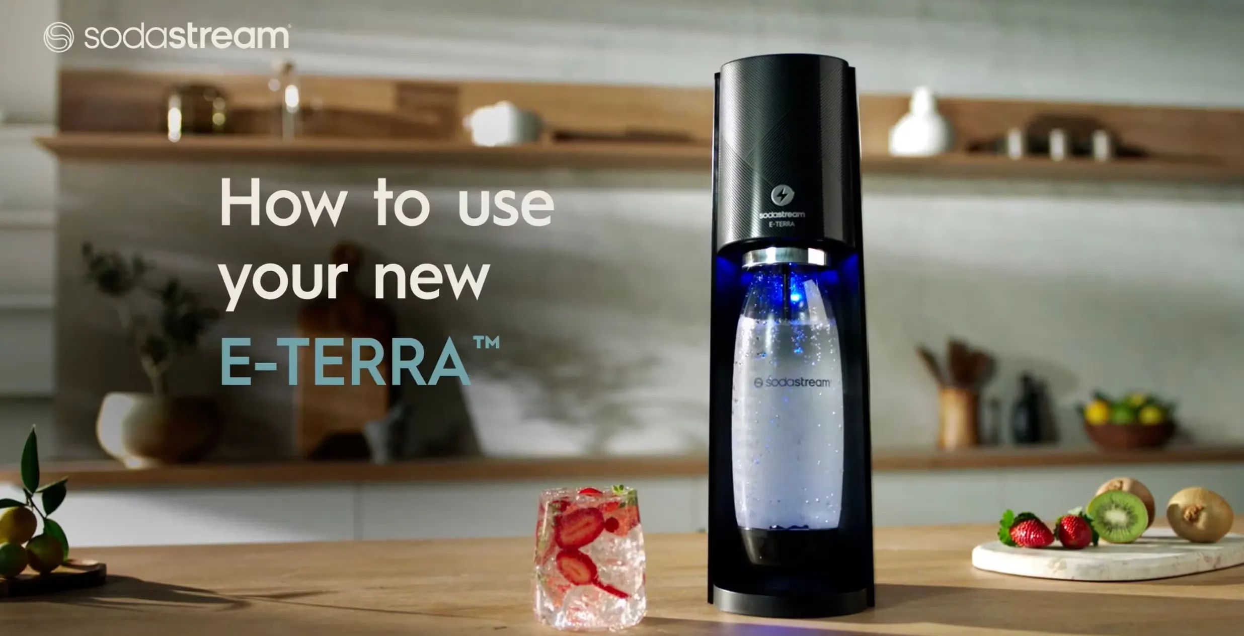 E-TERRA HOW TO